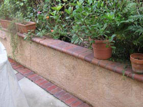 Fence Wash Pressure Washing