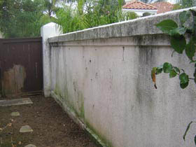 Fence Wash Pressure Washing