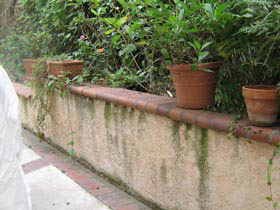 Fence Wash Pressure Washing
