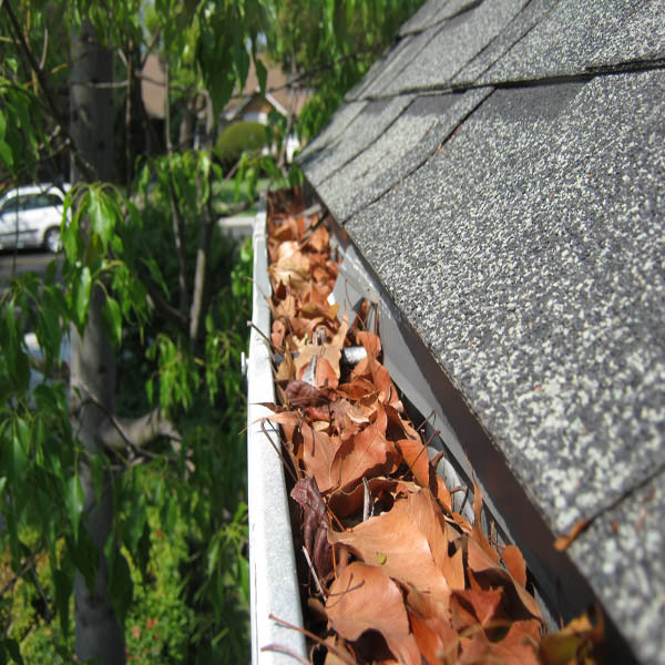 Rain Gutter Cleaning