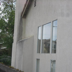 House Wash Pressure Washing