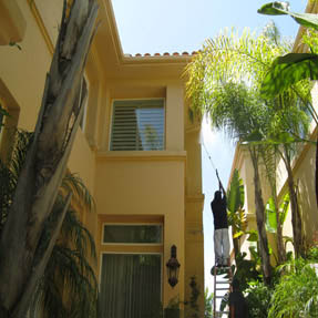 House Wash Pressure Washing