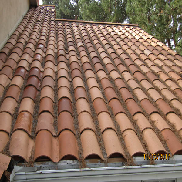 Roof Cleaning Debris Cleaning