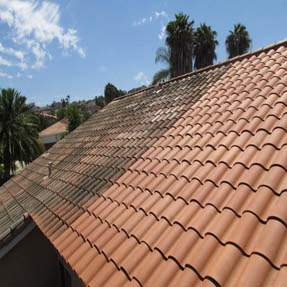 Roof Cleaning 
